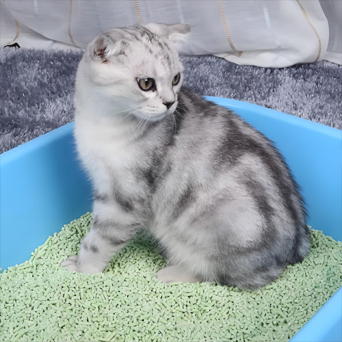 2022 年中國(guó)醫(yī)藥包裝行業(yè)市場(chǎng)規(guī)模及競(jìng)爭(zhēng)格局分析 市場(chǎng)集中度不高